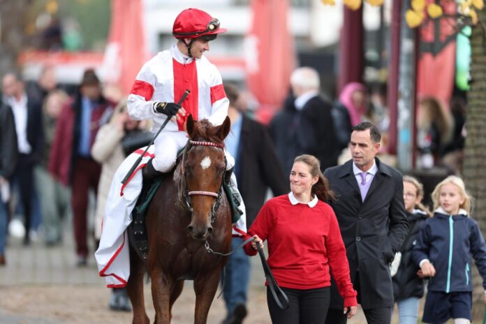 Lordano siegt unter Rene Piechulek im Silbernes Pferd, Gr.3