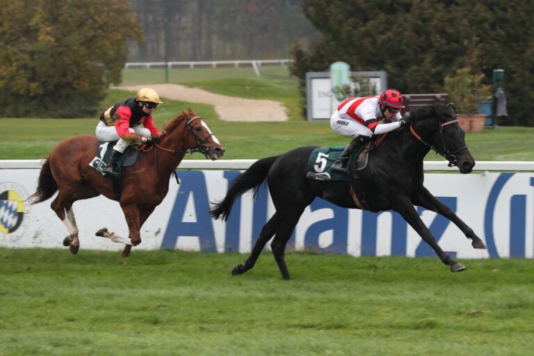 Laminaria siegt unter Michael Cadeddu