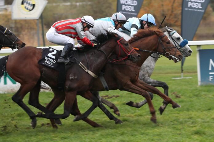 Der Schimmel Mr. Jury Twister siegt unter Leon Wolff Der Schimmel Mr. Jury Twister siegt unter Leon Wolff