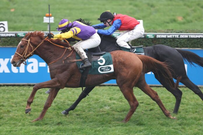 Pivotal Affair siegt unter Anna van den Troost Pivotal Affair siegt unter Anna van den Troost