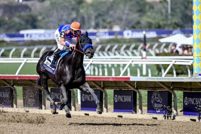 Splendora (Foto: ©Carlos J. Calo/Eclipse Sportswire)