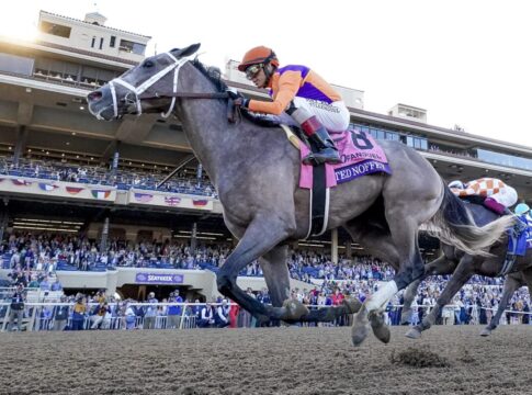 Ungeschlagener Favorit Ted Noffey gewinnt Juvenile