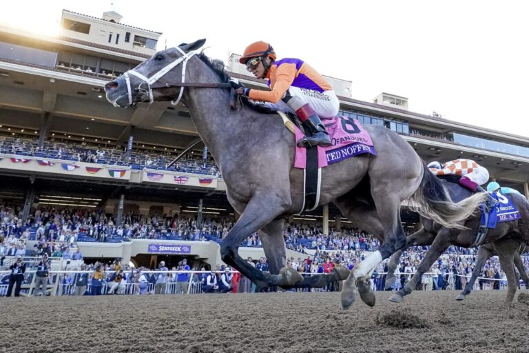 Ted Noffey Foto: Casey Laughter und Scott Serio Eclipse