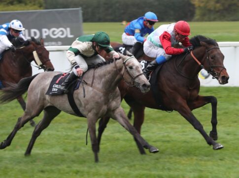 Hat alles etwas gedauert - Waldemar im Auktionsrennen erster Renz-Sieger 2025 Waldemar siegt unter Alexander Pietsch im BBAG Auktionsrennen-Hans-Gerd Wernicke- Erinnerungsrennen