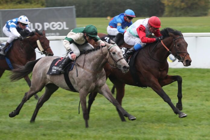 Waldemar siegt unter Alexander Pietsch im BBAG Auktionsrennen-Hans-Gerd Wernicke- Erinnerungsrennen Waldemar siegt unter Alexander Pietsch im BBAG Auktionsrennen-Hans-Gerd Wernicke- Erinnerungsrennen