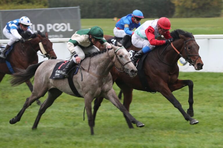 Waldemar siegt unter Alexander Pietsch im BBAG Auktionsrennen-Hans-Gerd Wernicke- Erinnerungsrennen