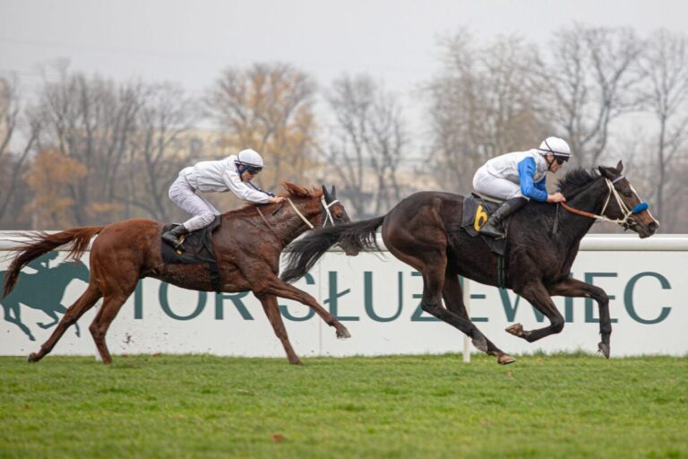 Westminster Rocket (Foto: Tor Służewiec)