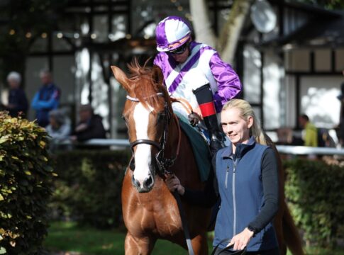 Ratibor-Rennen: Nur noch fünf Starter - Favorit Abachi raus Abachi