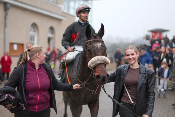 Dortmunder und Team Dortmunder und Team