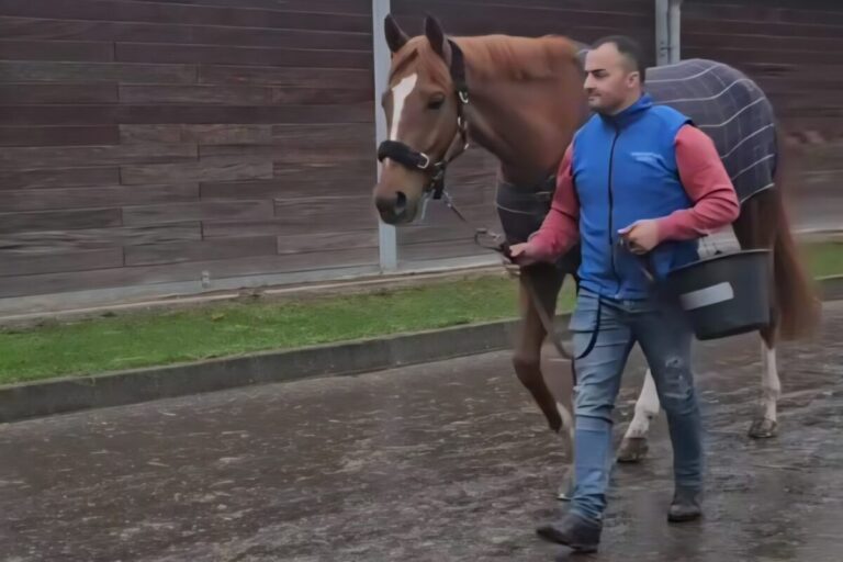 Flatten the Curve zurück im Grewe-Stall