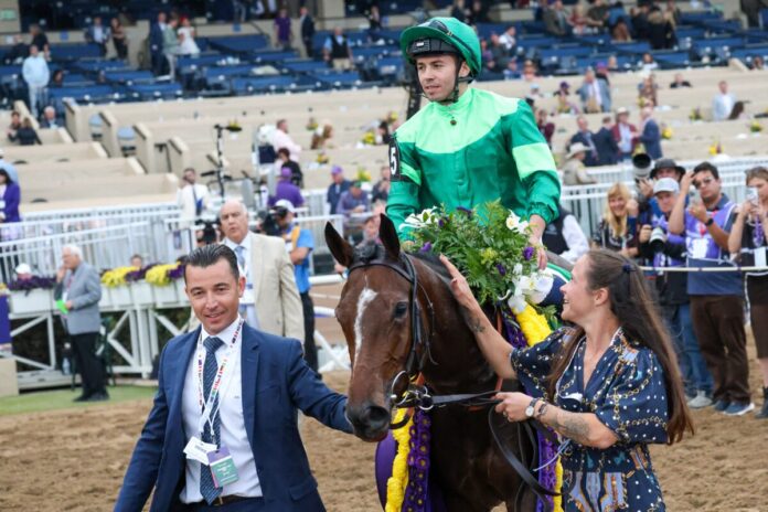 Gezora (Foto: ©Rich Steele/Eclipse Sportswire)