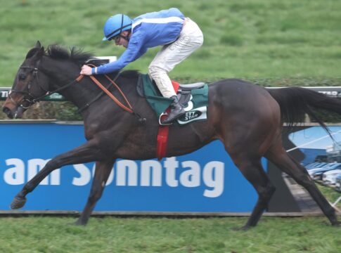 Viererwetten-Rennen geht nach Belgien: Kinnigoli Kid marschiert nach Hause Kinnigoli Kid