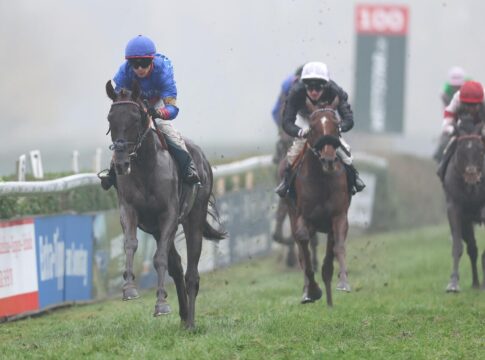 Grewe eins-zwei im Ratibor-Rennen: Lommi überlegen, True Lion Zweiter Lommi siegt