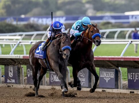 Nysos (außen) nickt ein (Foto: ©Carlos J. Calo/Eclipse Sportswire)