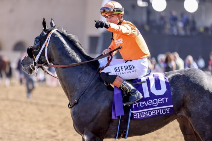 Shisospicy (Foto:©Kat Turnbull/Eclipse Sportswire) Shisospicy (Foto:©Kat Turnbull/Eclipse Sportswire)