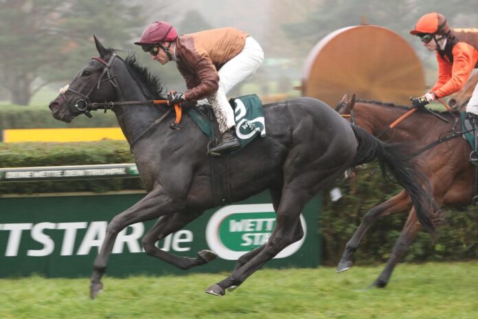 Tacita siegt Tacita siegt