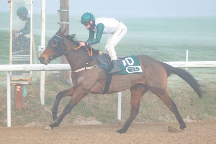 After Time siegt unter Sibyle Vogt