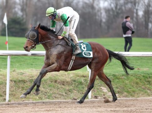 Aral siegt unter Sean Byrne