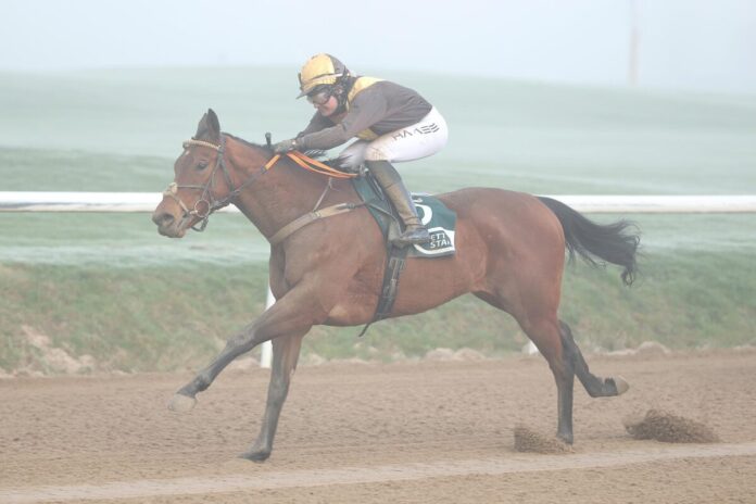 Artistic Mission siegt unter Lilli-Marie Engels