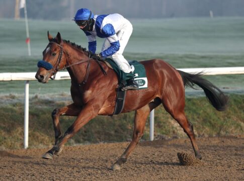 Zur Feier des Championats: Grewe Eins-Zwei bei den Youngstern Asker siegt unter Leon Wolff