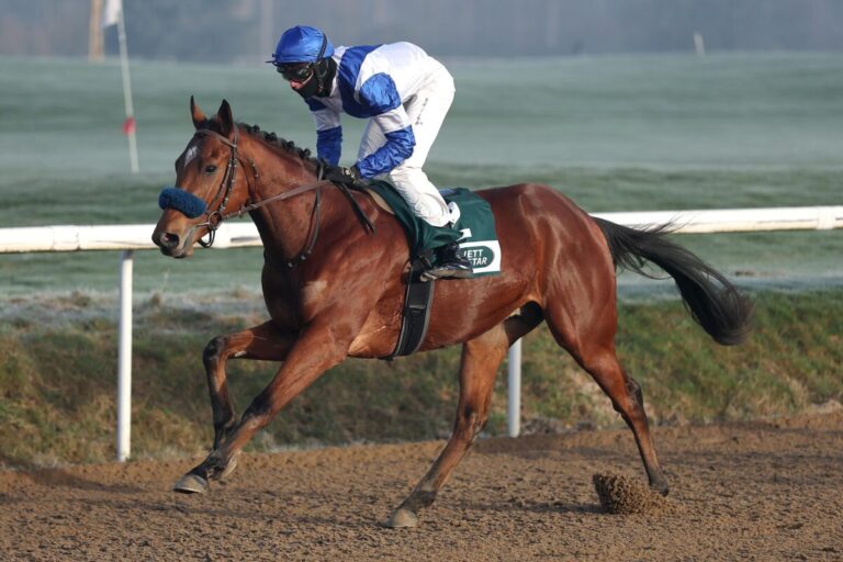 Asker siegt unter Leon Wolff