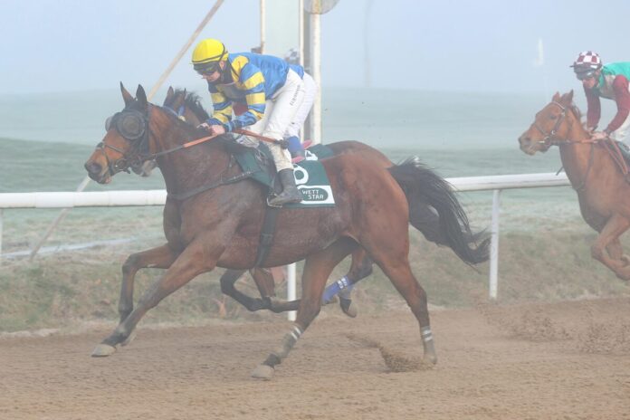 City Cat siegt unter Sibylle Vogt