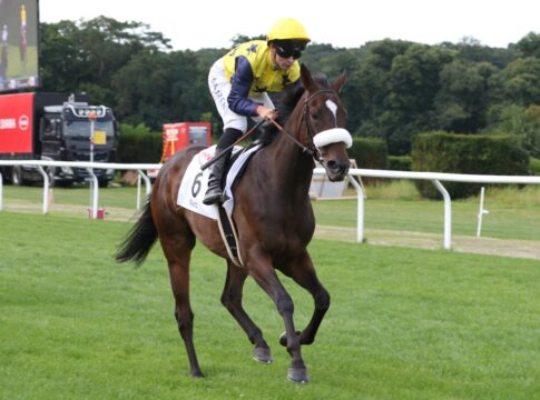 Klassisch platzierte Gruppesiegerin Nyra am Berglar-Geburtstag für 875.000 Euro verkauft Nyra