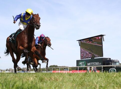 Goliath (li.) besiegt Dubai Honour