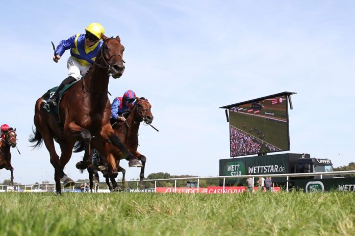 Goliath (li.) besiegt Dubai Honour