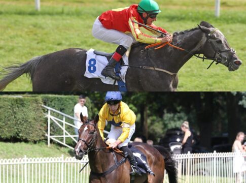 Grey Sparkle Art Market