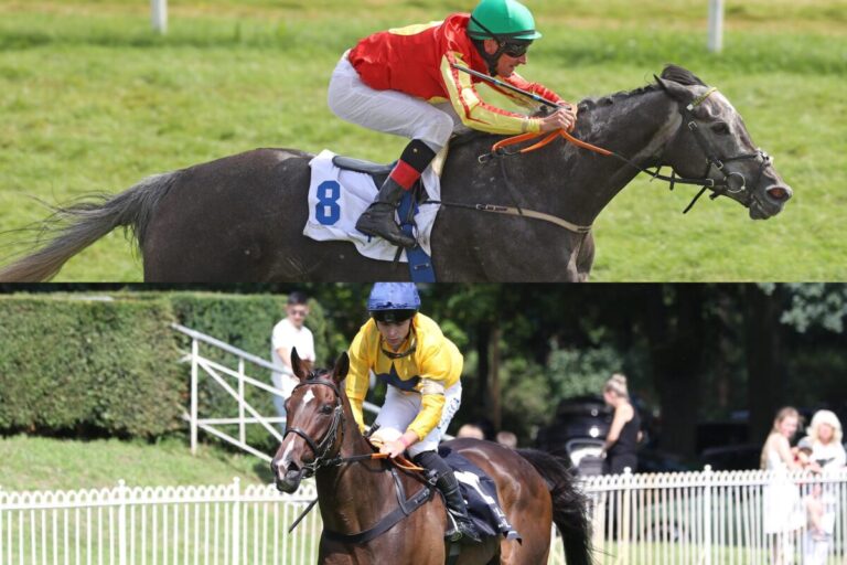 Grey Sparkle Art Market