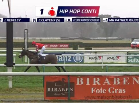 Hip Hop Conti: Ein echtes Ausnahmepferd Hip Hop Conti