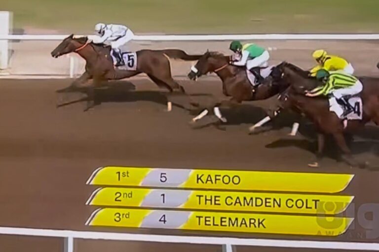 Kafoo erster Sieger für das Adelresort in Dubai