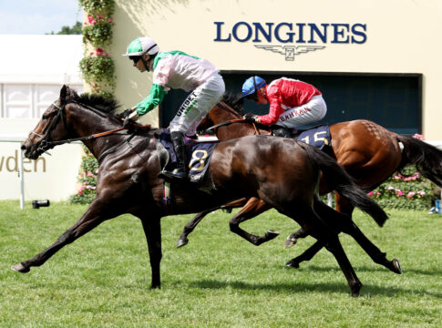 Hong Kong Sprint: Ein Veteran gegen den besten Flieger der Welt Khaadem Foto: hkjc.com