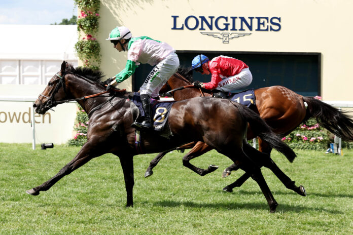 Khaadem Foto: hkjc.com Khaadem Foto: hkjc.com