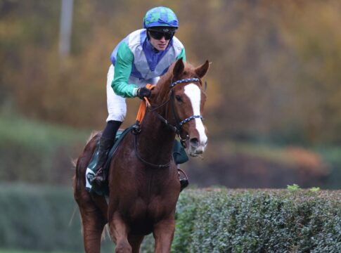 Listensieger Zunder Achter beim zweiten Auftritt über Hürden Zunder