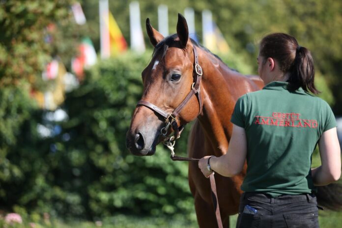 Margie's Music (Archiv) Margie's Music (Archiv)