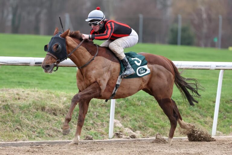 Mr Pablo siegt unter Matthew Johnson