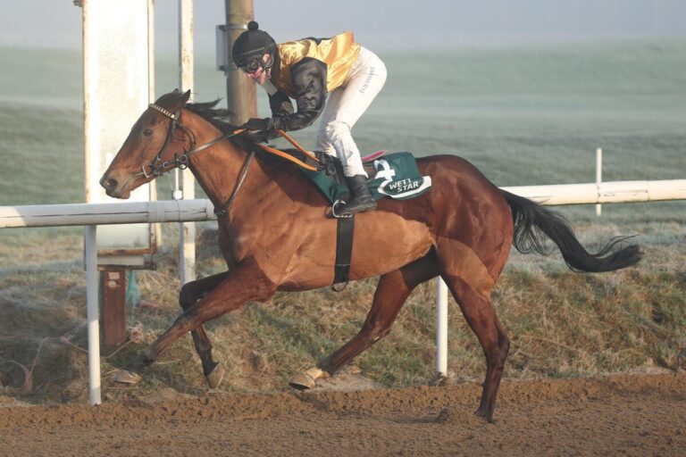 Ostseesonne gewinnt für Batistic und beschert Grewe das Championat
