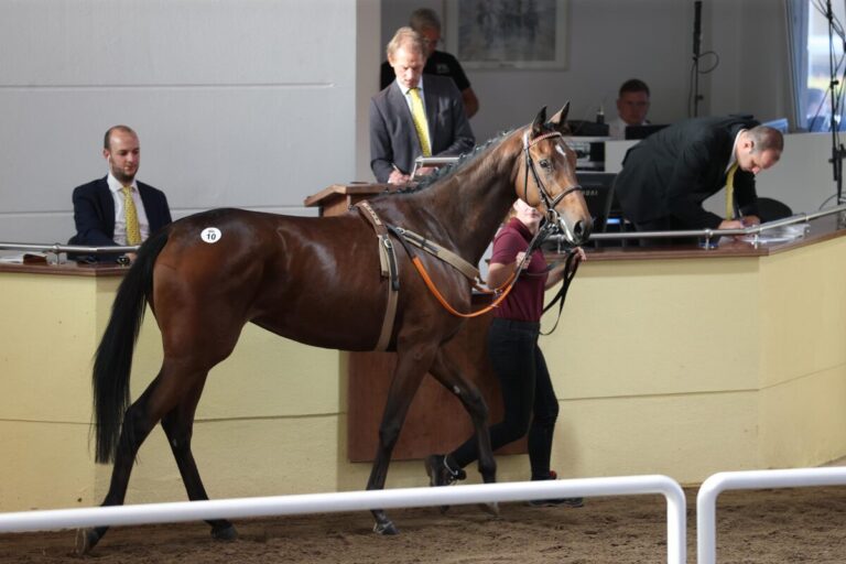 Palace Sunshine als Zweijährige bei der BBAG