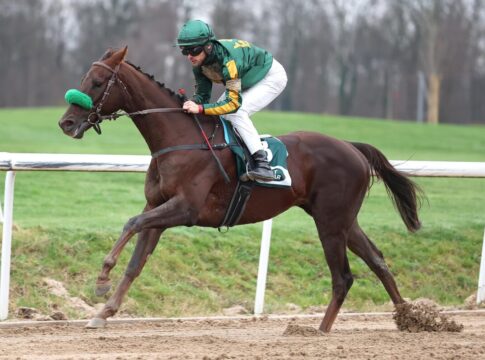 Quick And Wild siegt unter Thore Hammer-Hansen