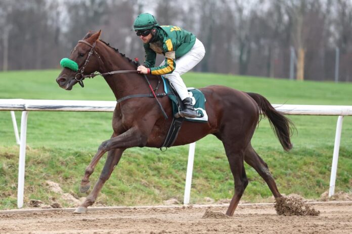 Quick And Wild siegt unter Thore Hammer-Hansen Quick And Wild siegt unter Thore Hammer-Hansen