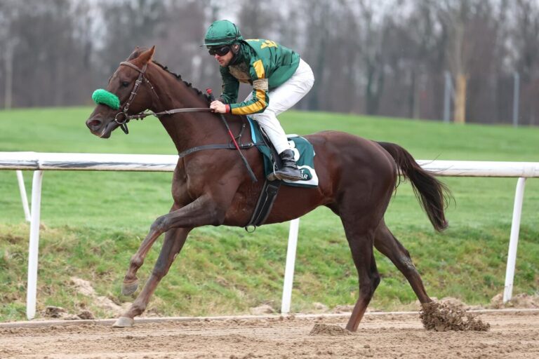 Quick And Wild siegt unter Thore Hammer-Hansen