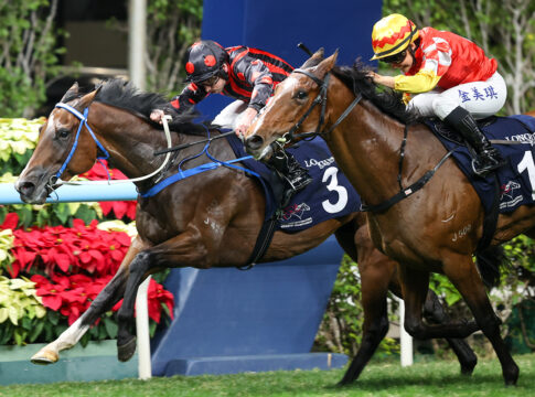 Ryan Moore zieht in der IJC nach - 12 Punkte nach Sieg mit Corleone Ryan Moore siegt mit Corleone Foto: hkjc.com