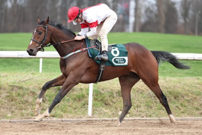 Sullyvan siegt unter Esentur Turganaaly Uulu