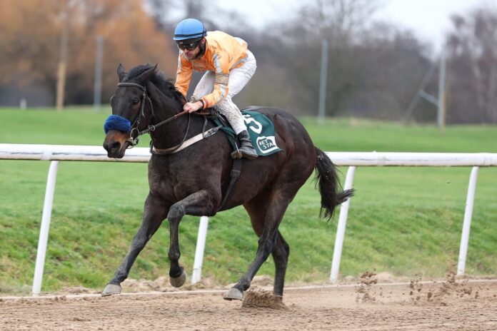 Vinnare siegt unter Thore Hammer-Hansen Vinnare siegt unter Thore Hammer-Hansen
