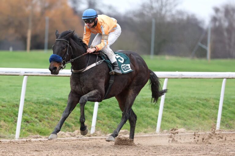 Vinnare siegt unter Thore Hammer-Hansen