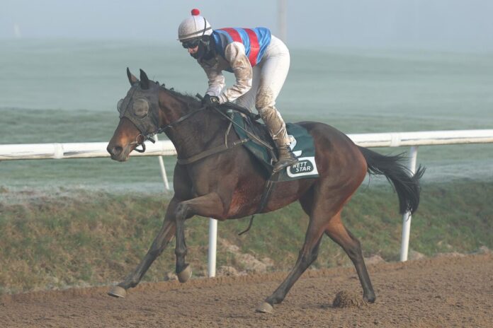 Walencia siegt unter Nina Baltromei Walencia siegt unter Nina Baltromei