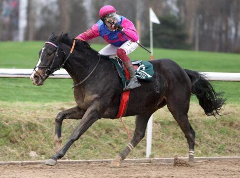 Woody Wood siegt unter Andrea Ricupa