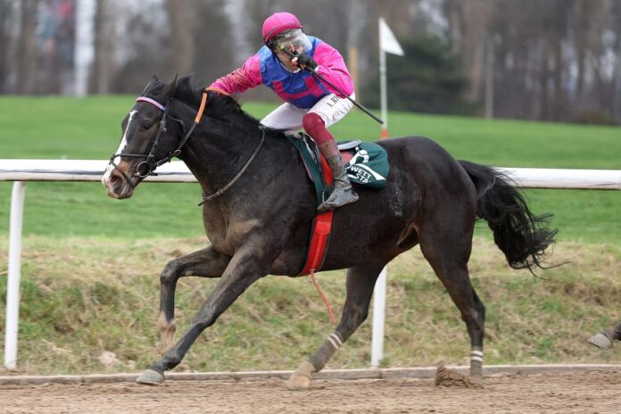 Woody Wood siegt unter Andrea Ricupa Woody Wood siegt unter Andrea Ricupa